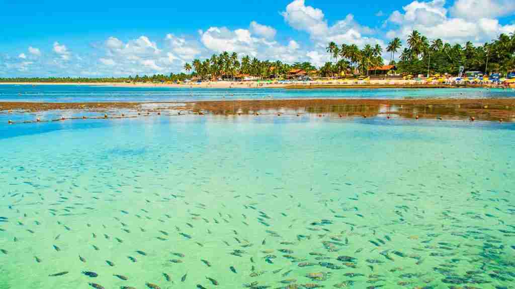 Como fazer o roteiro: Recife, Porto de Galinhas e Praia dos Carneiros ...